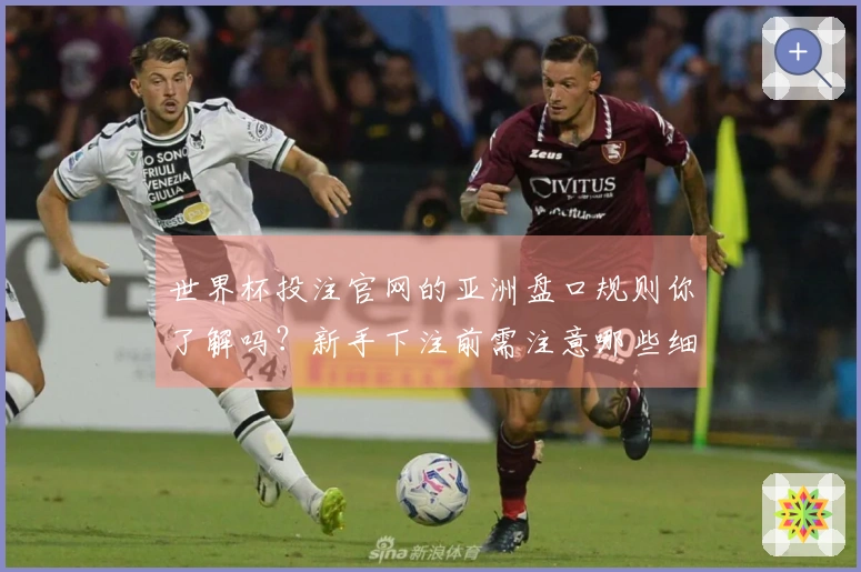 九游会体育资讯图片