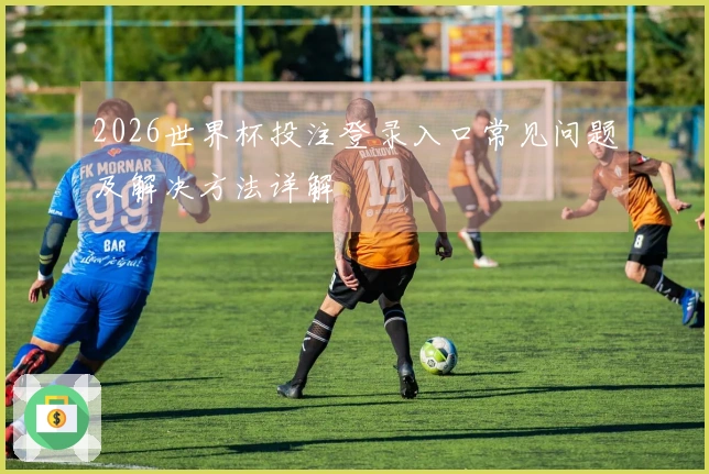 2026世界杯投注登录入口常见问题及解决方法详解