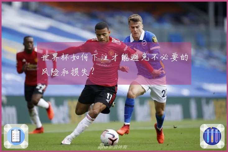 世界杯如何下注才能避免不必要的风险和损失？