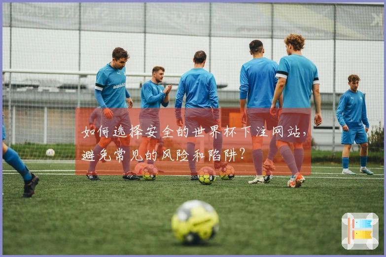 如何选择安全的世界杯下注网站，避免常见的风险和陷阱？