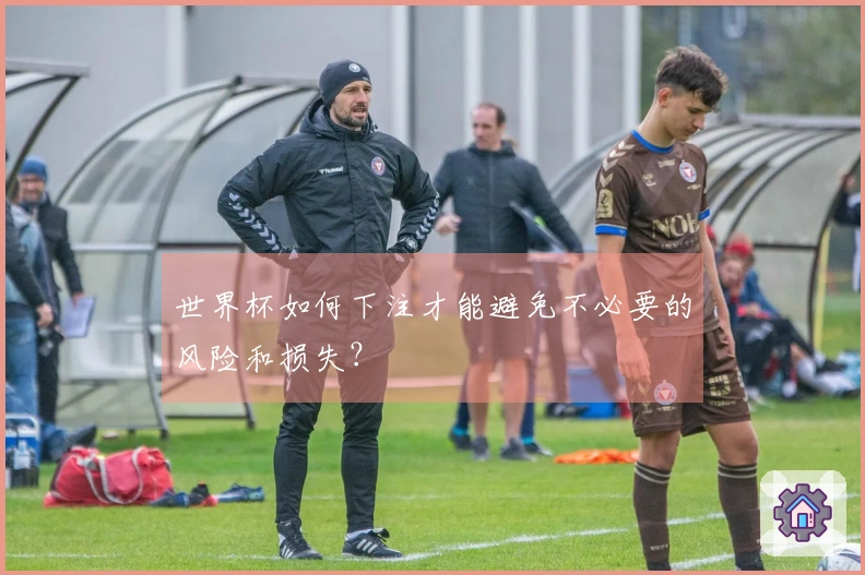 世界杯如何下注才能避免不必要的风险和损失？