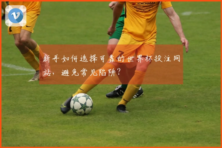 新手如何选择可靠的世界杯投注网站，避免常见陷阱？