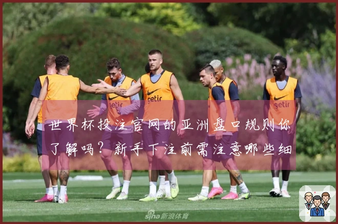 世界杯投注官网的亚洲盘口规则你了解吗？新手下注前需注意哪些细节？